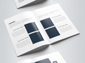 簡約大氣藍色科技公司軟件開發宣傳冊模板設計